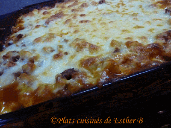 Macaroni à la viande d'orignal