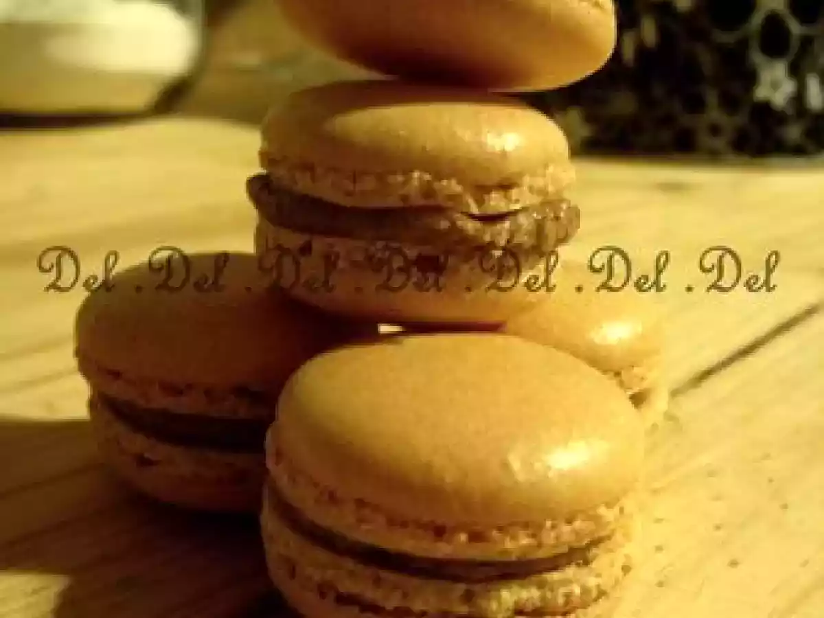 Macarons Chocolat blanc et Praliné