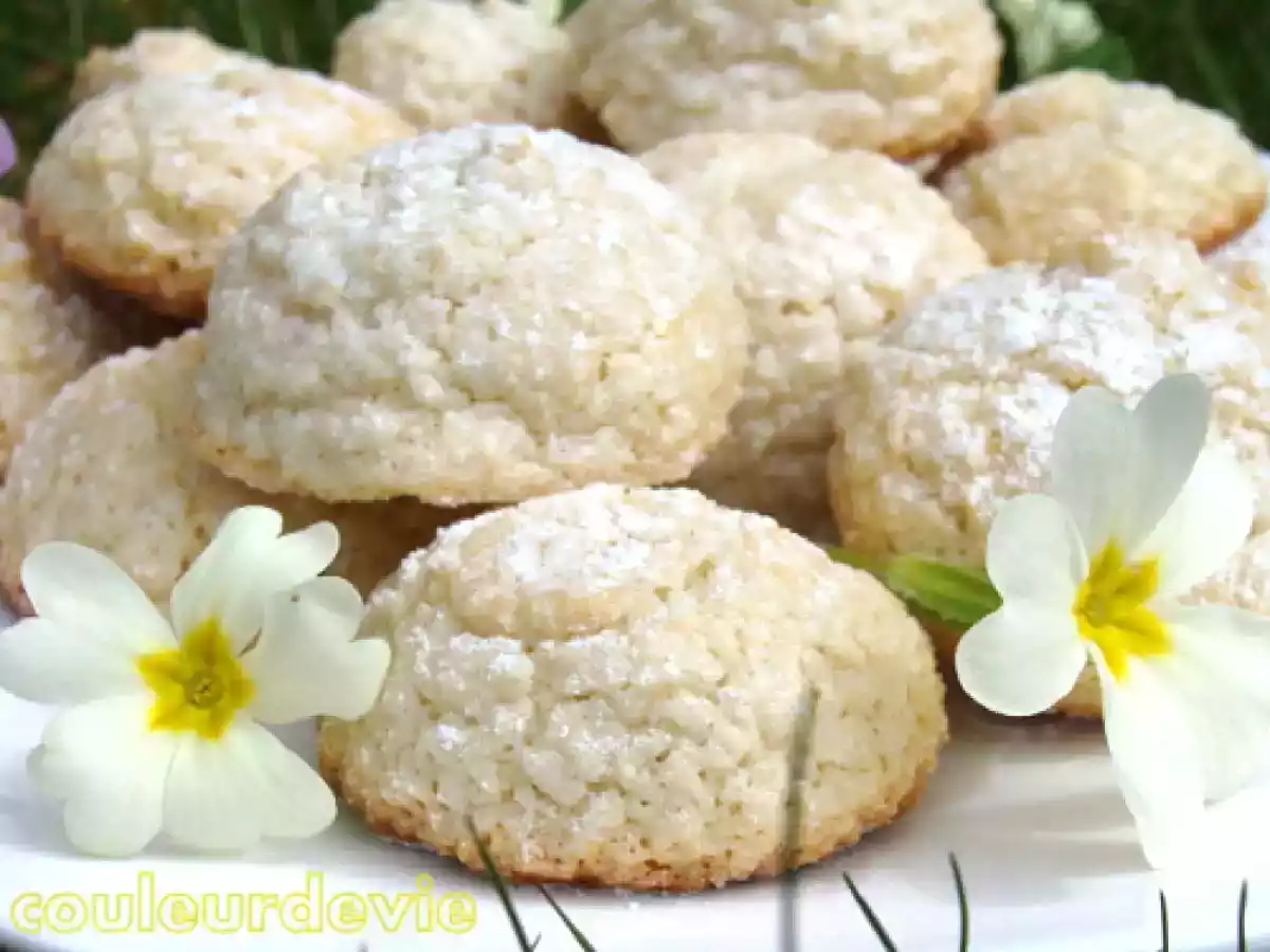 Macarons de Saint-Emilion au vin blanc et concours photos