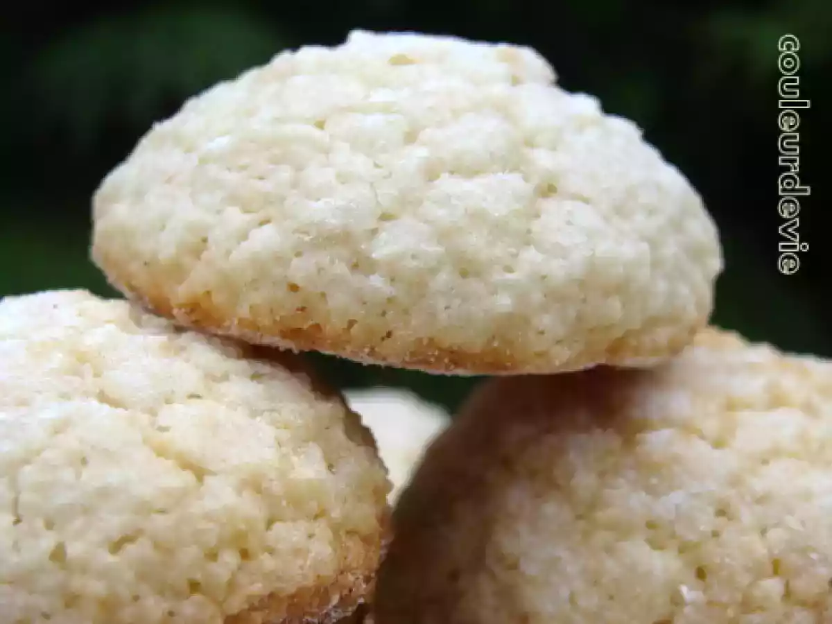 Macarons de Saint-Emilion au vin blanc et concours photos - photo 2