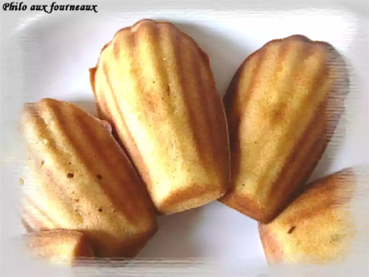 Madeleine à la Gourmandise Abricots & chocolat blanc aux brisures de nougat