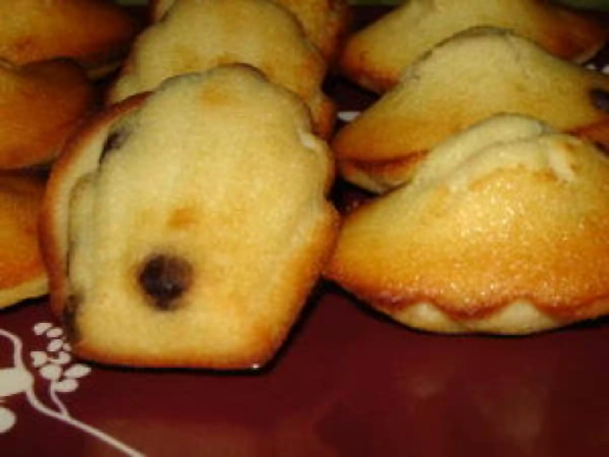 Madeleine (sans beurre) à la crème de coco et aux pépites de chocolat
