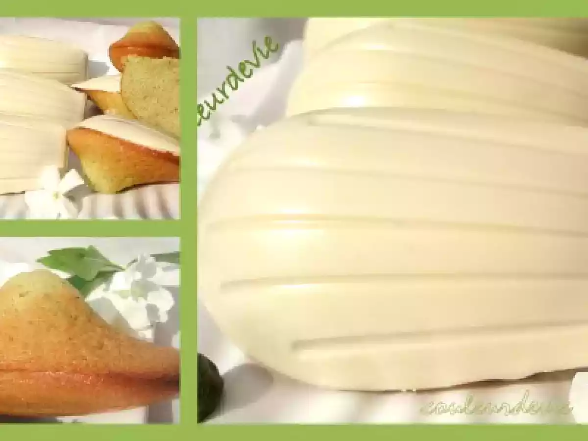 Madeleines à la pistache en coque de chocolat blanc - photo 2