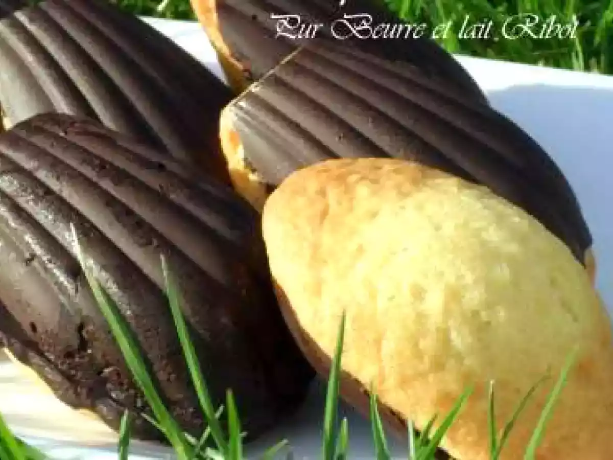 MADELEINES EN COQUE DE CHOCOLAT CITRON - PUR BEURRE ET LAIT RIBO