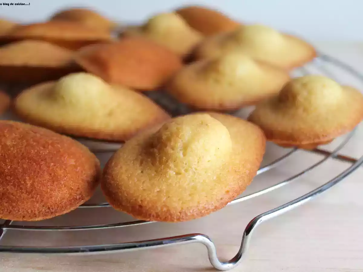 Madeleines façon Bonne Maman