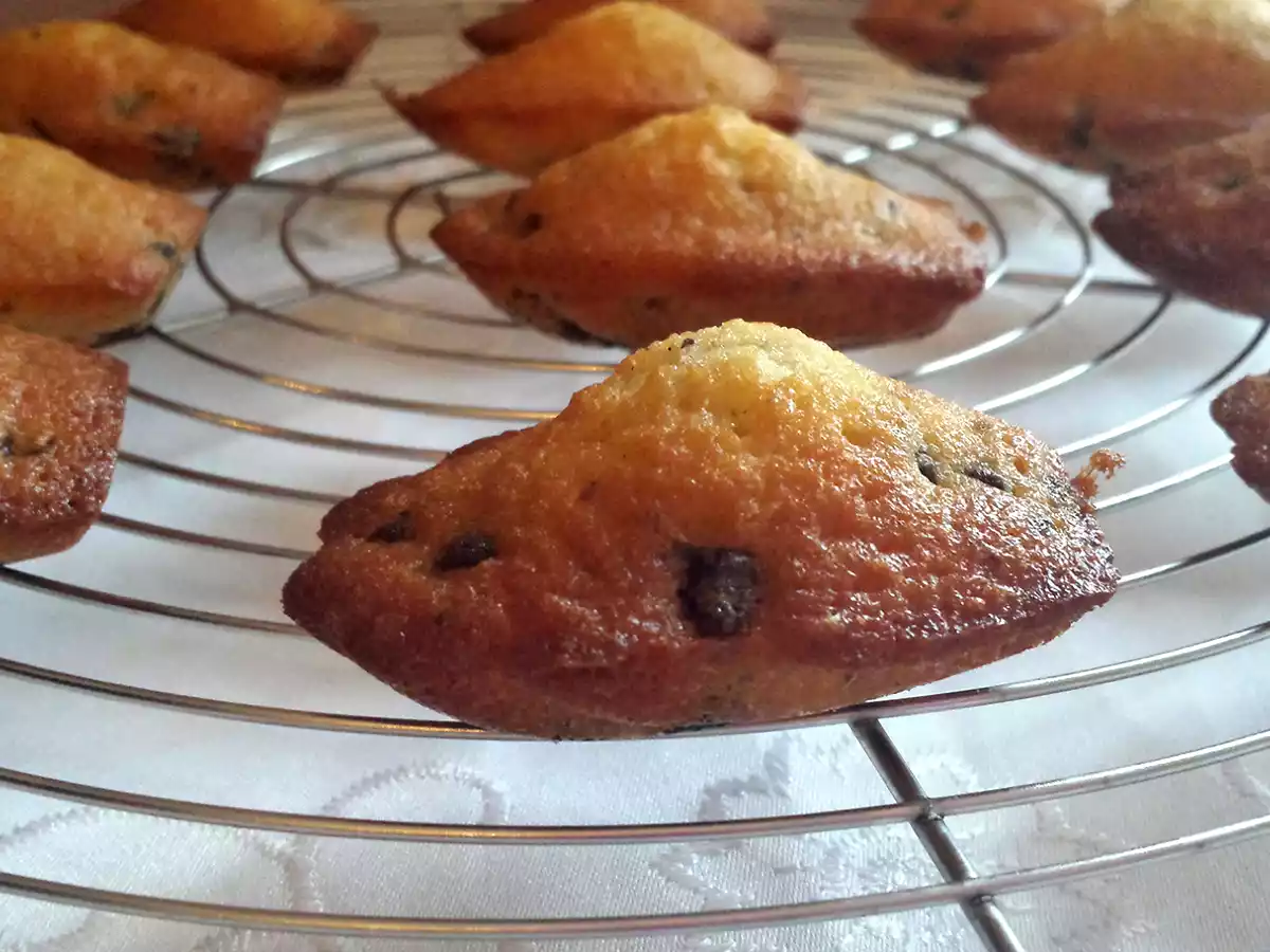 Madeleines pépites de chocolat - photo 3