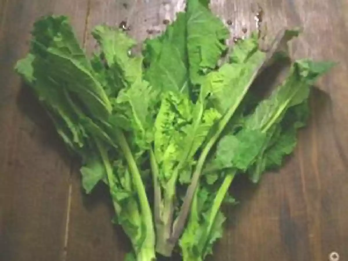 Magret, grenailles, choux à vache... - photo 5