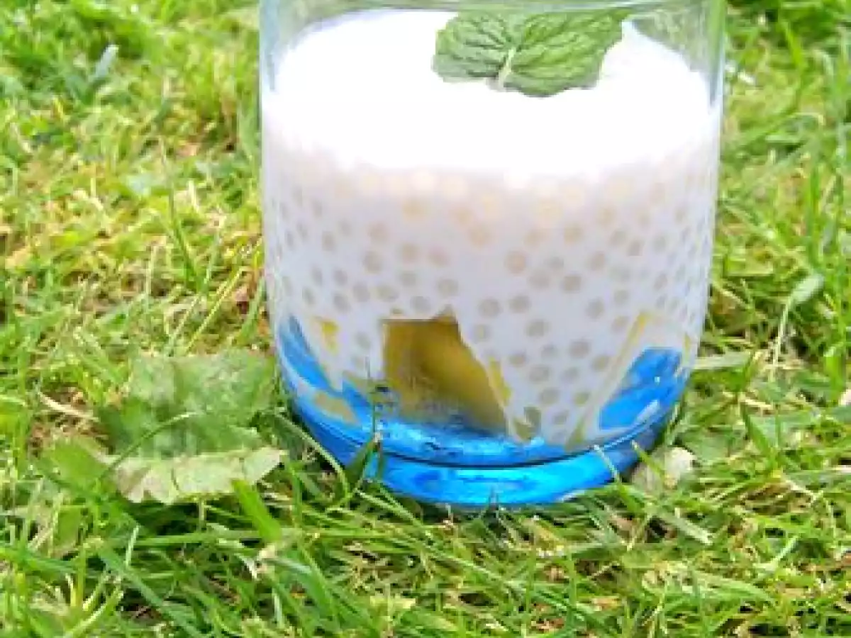 Mangue au lait de coco et perles du japon!!!! - photo 2