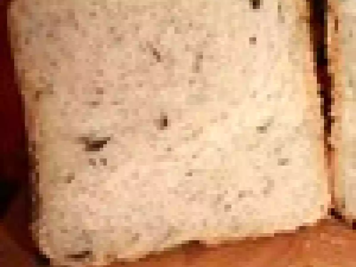 MAP - Pain aux champignons