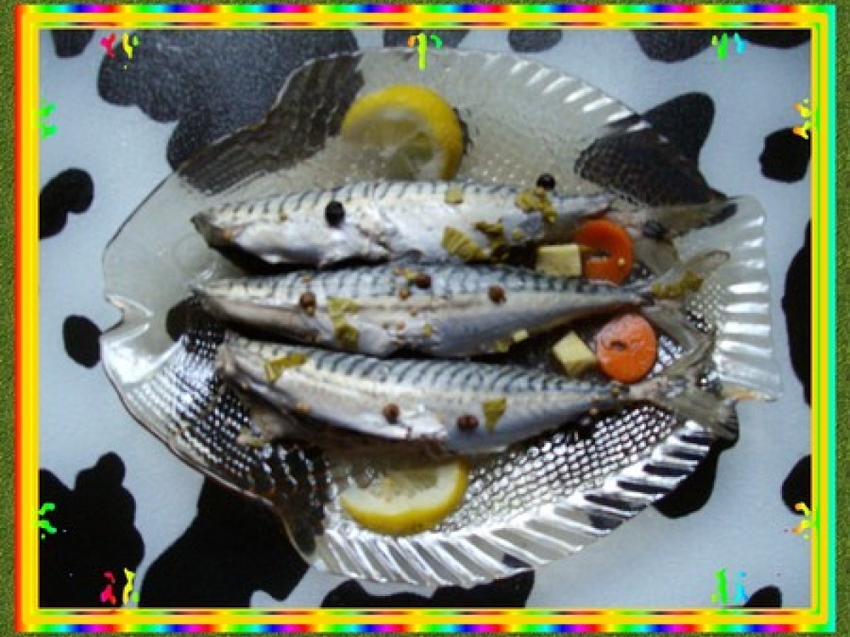 Leurre Souple Swimbait 5 1/2'' + Trailer 9/0 - King Mackerel Blanc - Pêche Au Bar