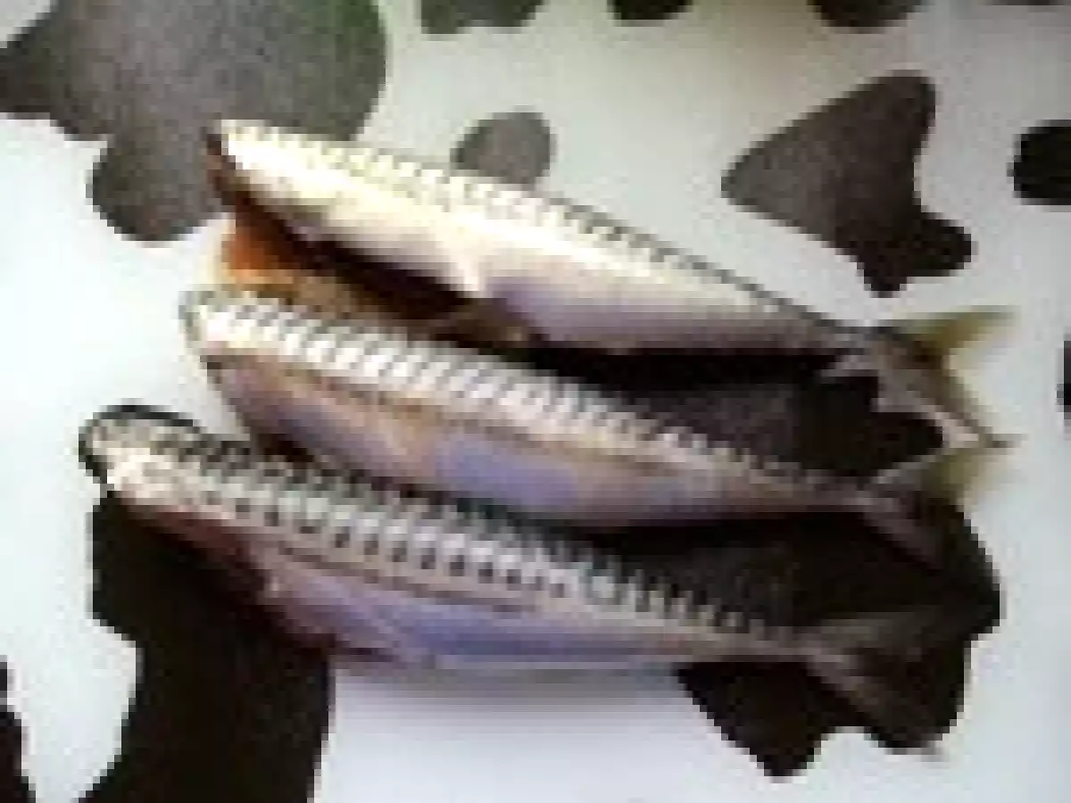 Maquereaux au Vin Blanc Maison - photo 2