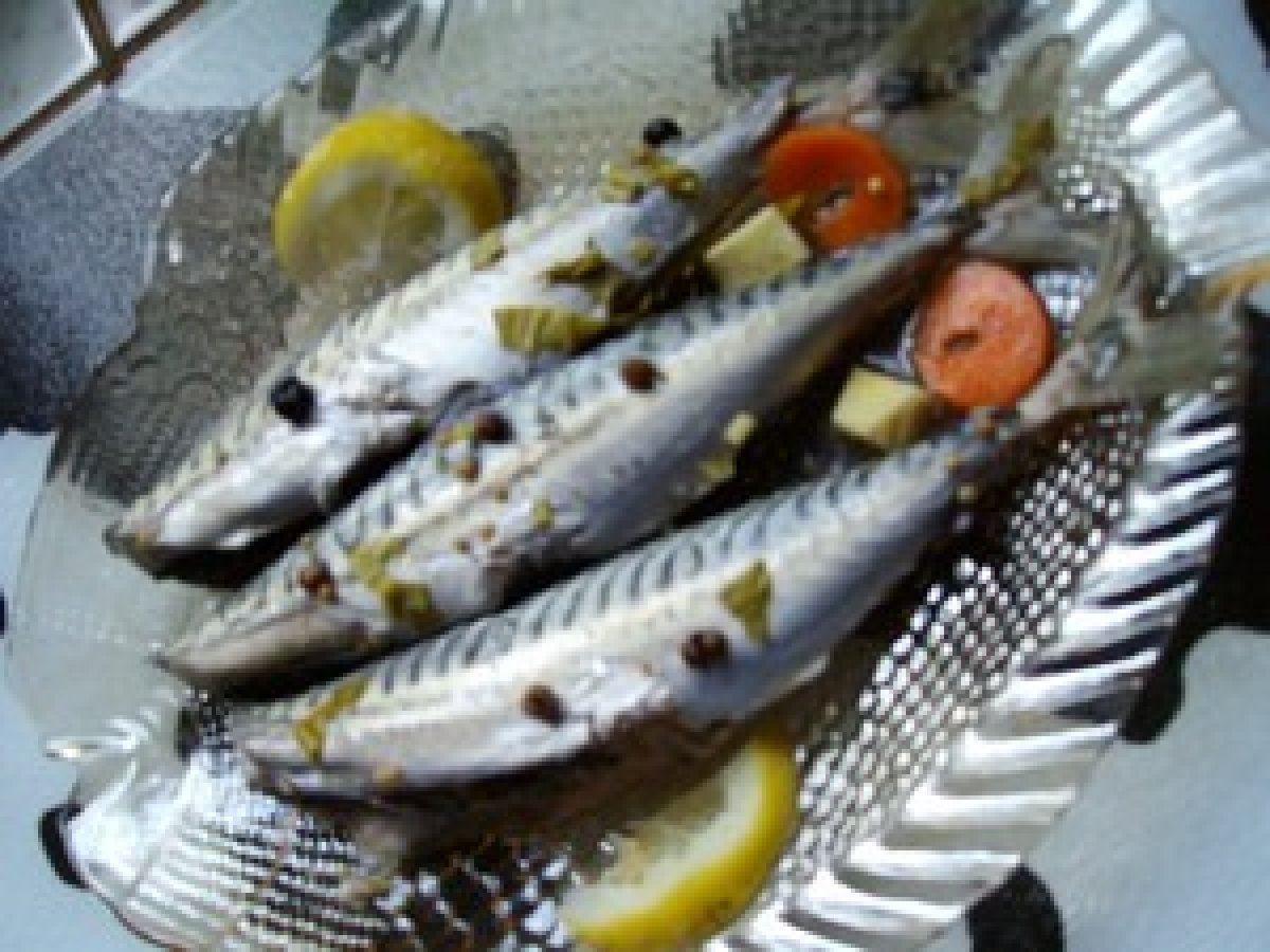 Maquereaux Marinés Au Vin Blanc Sans Cuisson Maquereaux au vin blanc maison - Recette Ptitchef