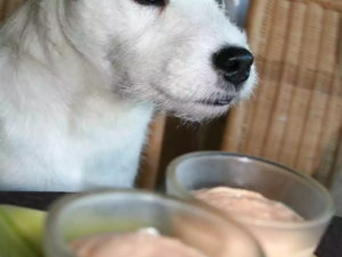 Menu fraîcheur pour grosses chaleurs ! - photo 2