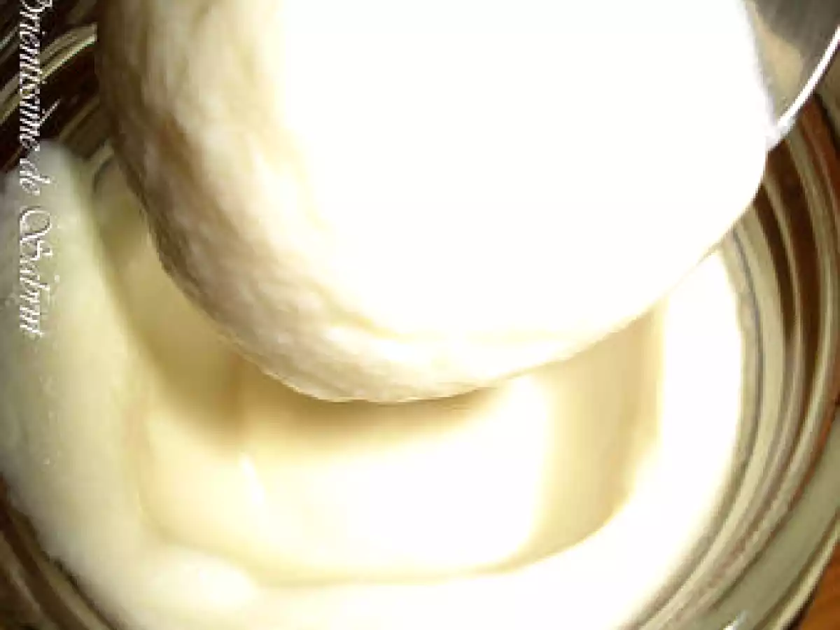 Mes premiers yaourts avec ma nouvelle yaourtière