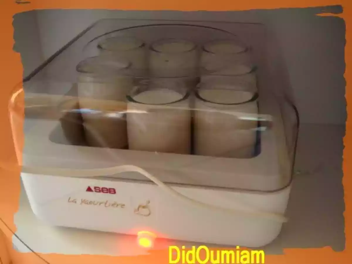 Mes premiers yaourts en yaourtière! la banane à l'honneur..