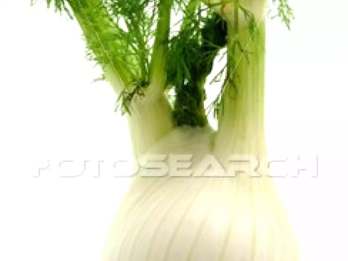 Mijoté de boeuf au whisky et au fenouil!! (en mijoteuse) - photo 2