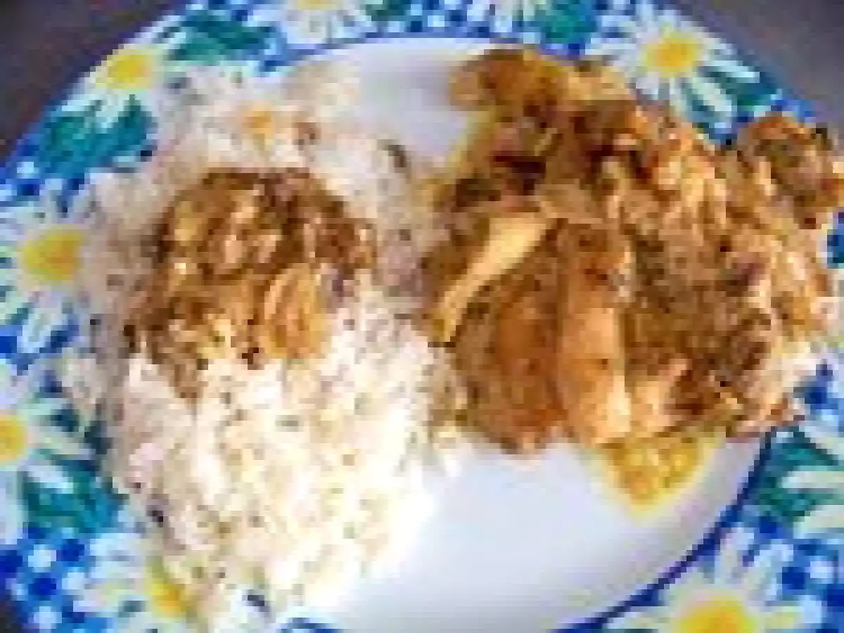 Mijoté de poulet au yaourt et curry!! - photo 2