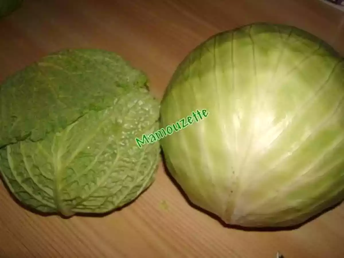 Mille-feuille de deux choux aux deux saumons - photo 3