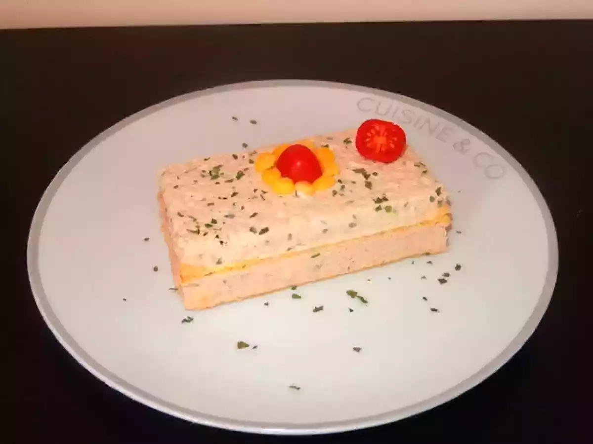 Millefeuille au thon et saumon