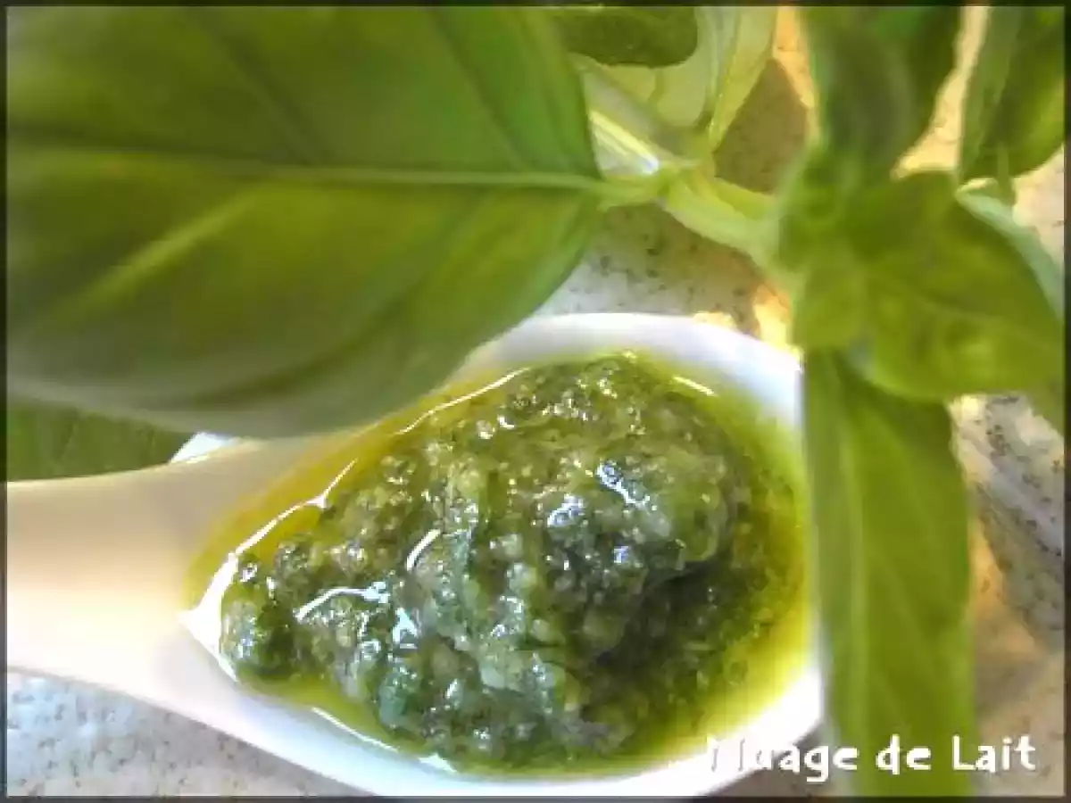 Mini-Bruschetta à l'Italienne au Pesto alla Genovese et sa version Light - photo 3