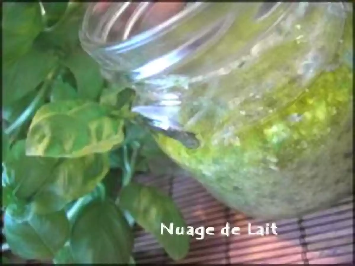 Mini-Bruschetta à l'Italienne au Pesto alla Genovese et sa version Light - photo 5