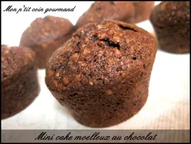 Mini cake moelleux au chocolat de Pierre Hermé, photo 2