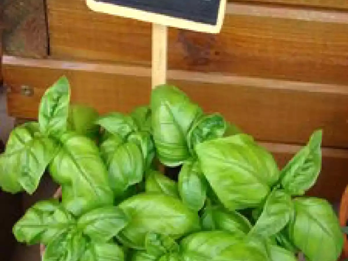 Mini clafoutis aux tomates cerises-ricotta et basilic - photo 3