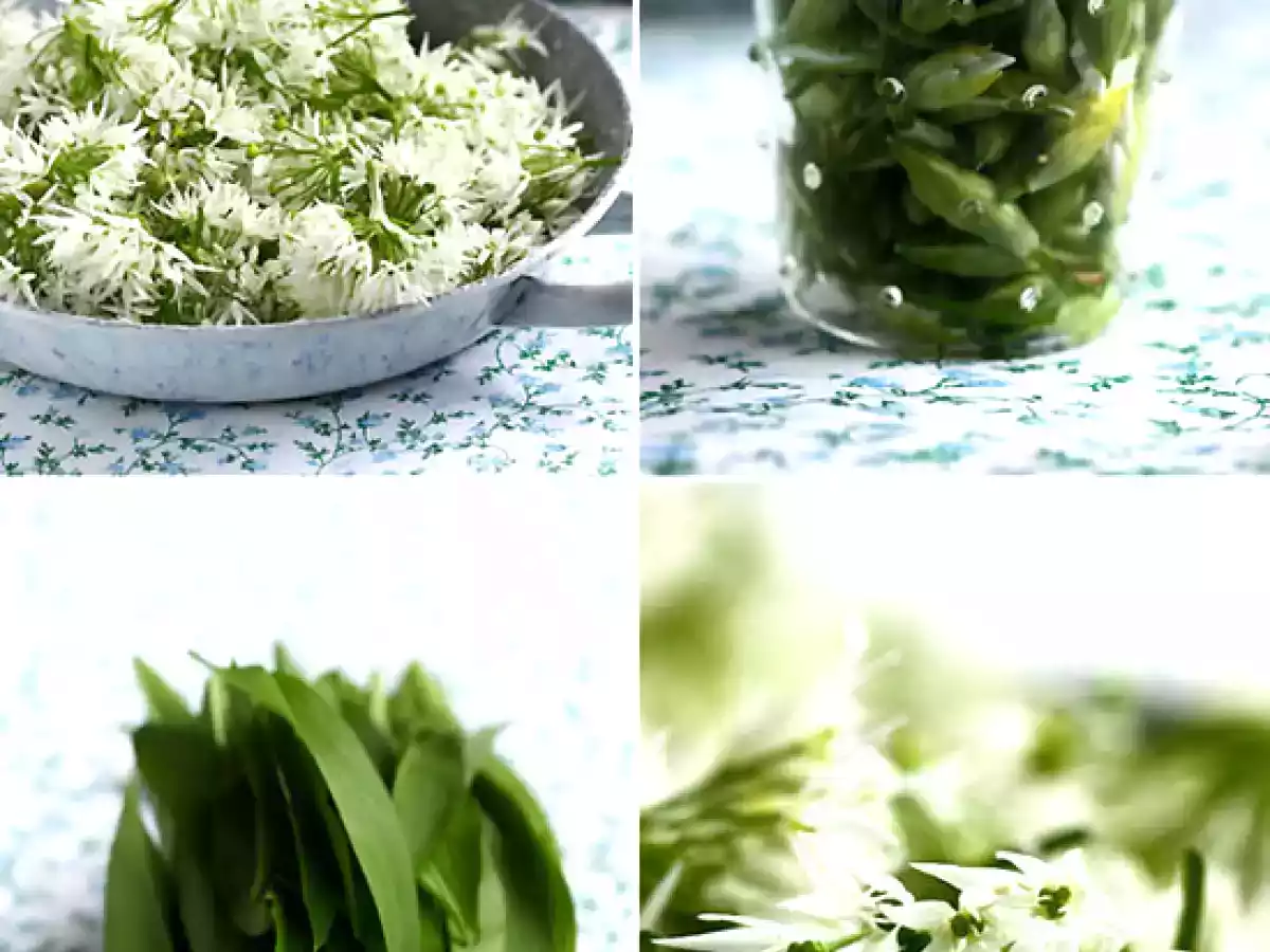 Mini-pizzas à l'ail des ours, à la Mozzarella et au crottin de Chavignol - photo 3