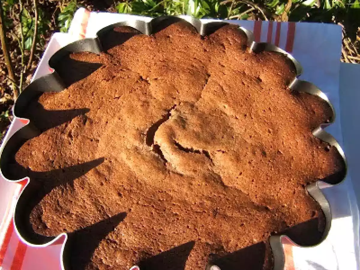 Moelleux à la crème de châtaigne et farine de pépins de raisin.