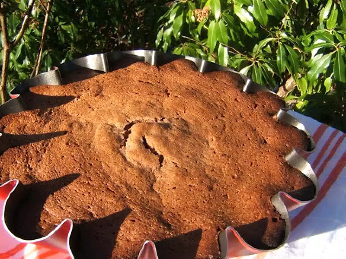 Moelleux à la crème de châtaigne et farine de pépins de raisin. - photo 2