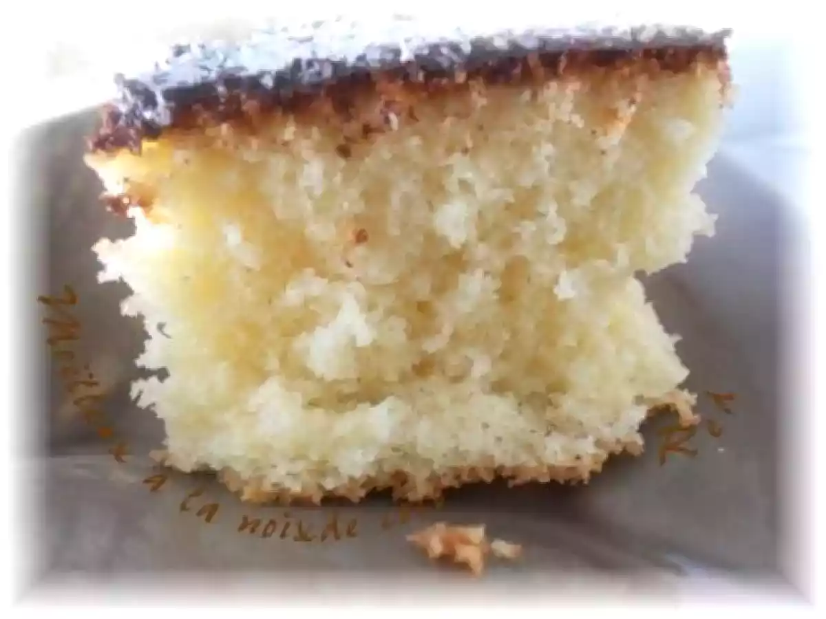 Moëlleux à la noix de coco et au chocolat