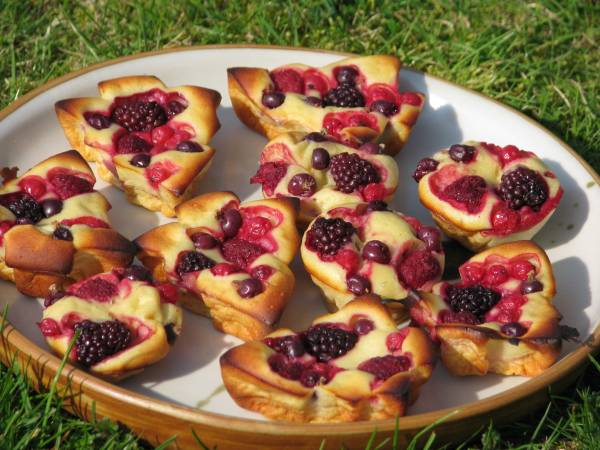 Moelleux au fromage blanc, miel et fruits rouges