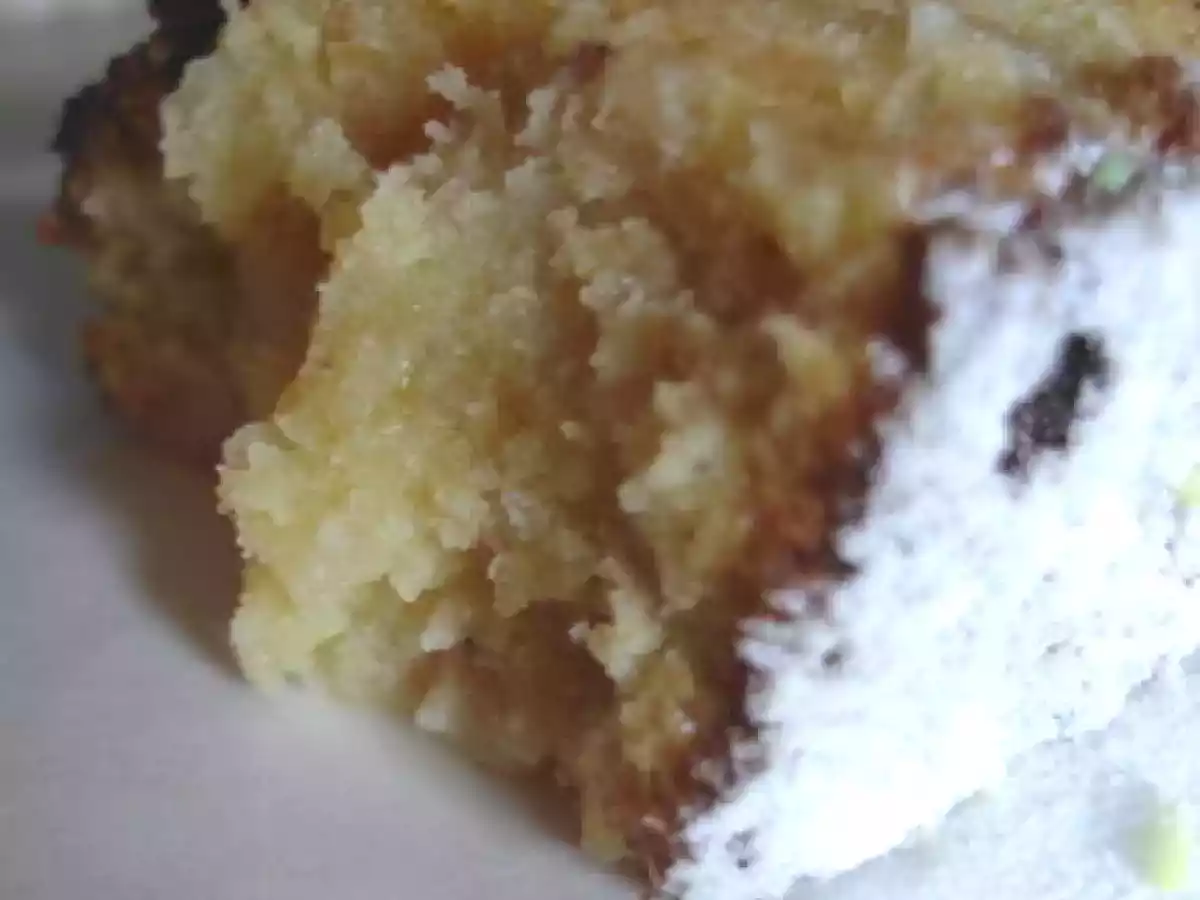 Moelleux-fondant chocolat blanc-noix de coco : le white pavé fondant delicious ;-)