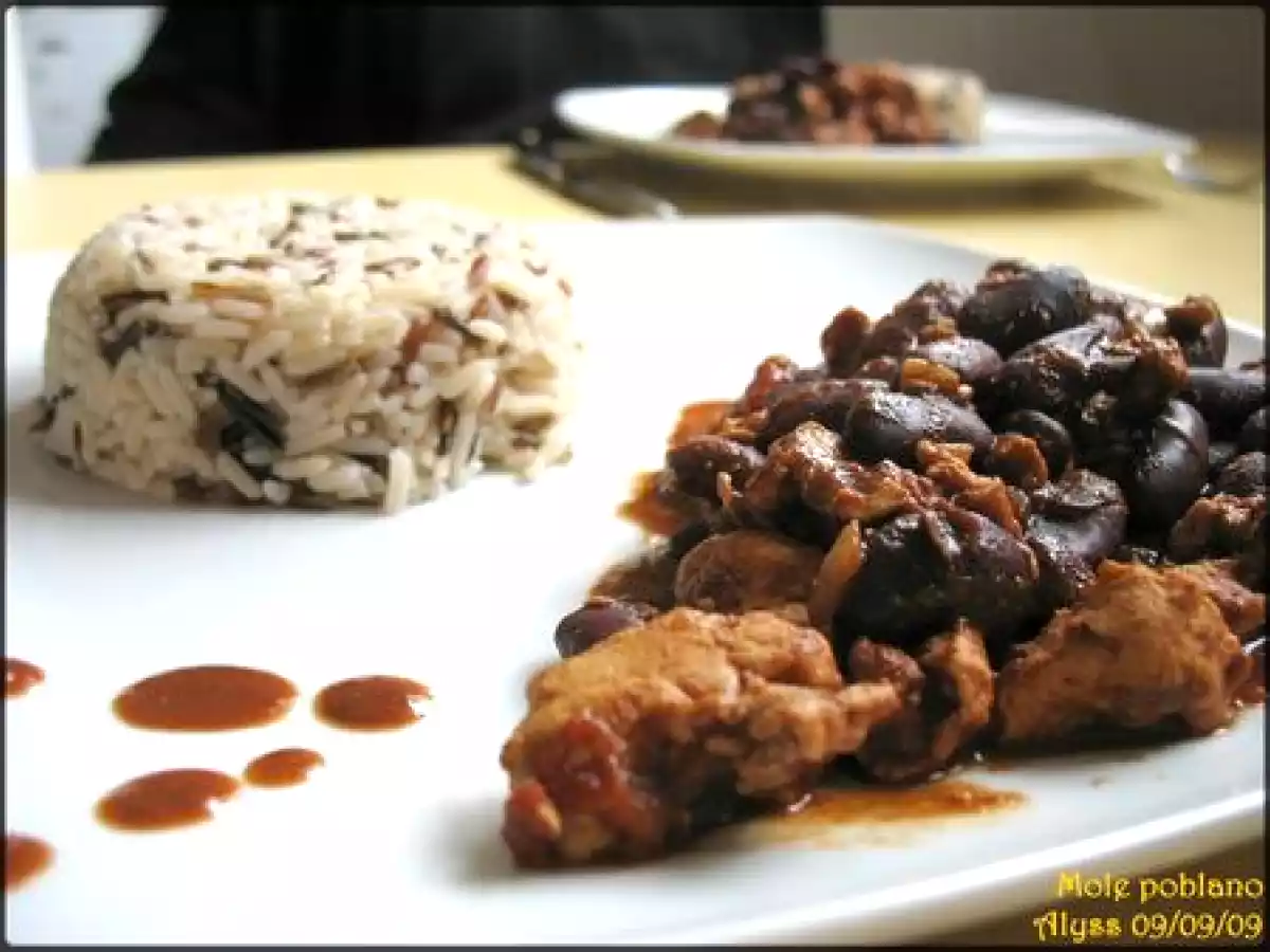 Mole poblano (poulet au chocolat ou cacao, mexicain) - photo 4