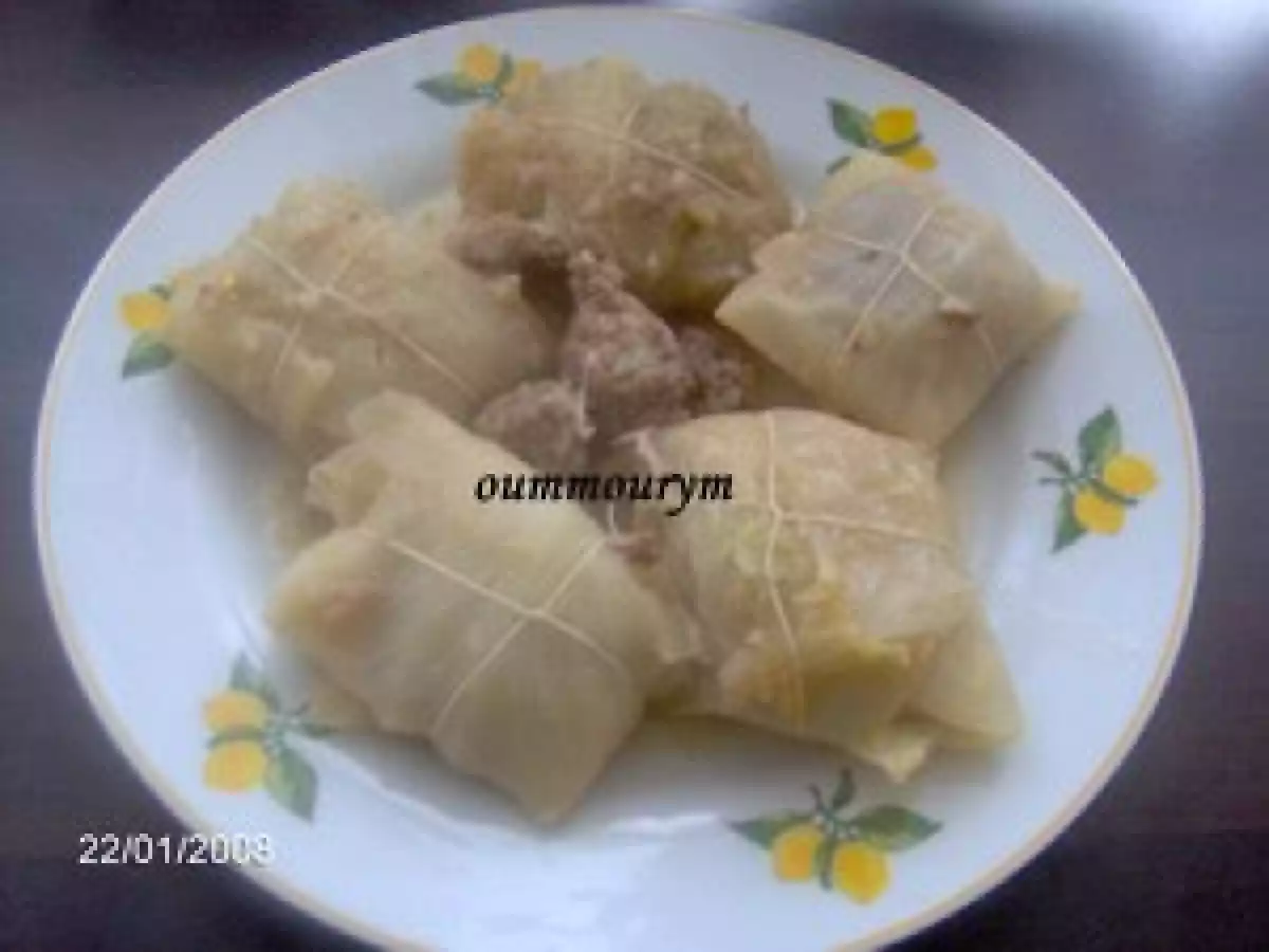 Mon chou farci (dolma krombet)