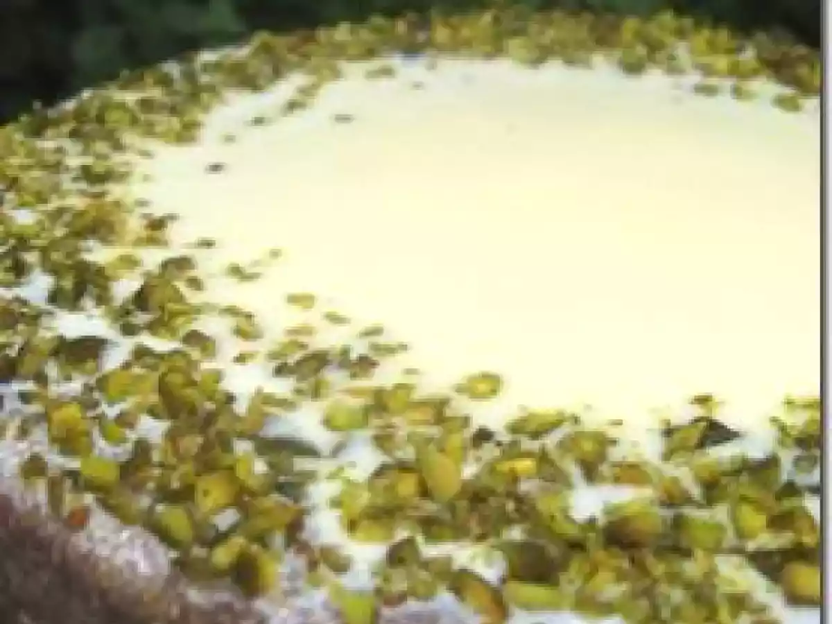 Mon gâteau Création au chocolat blanc, pistache et cerises...