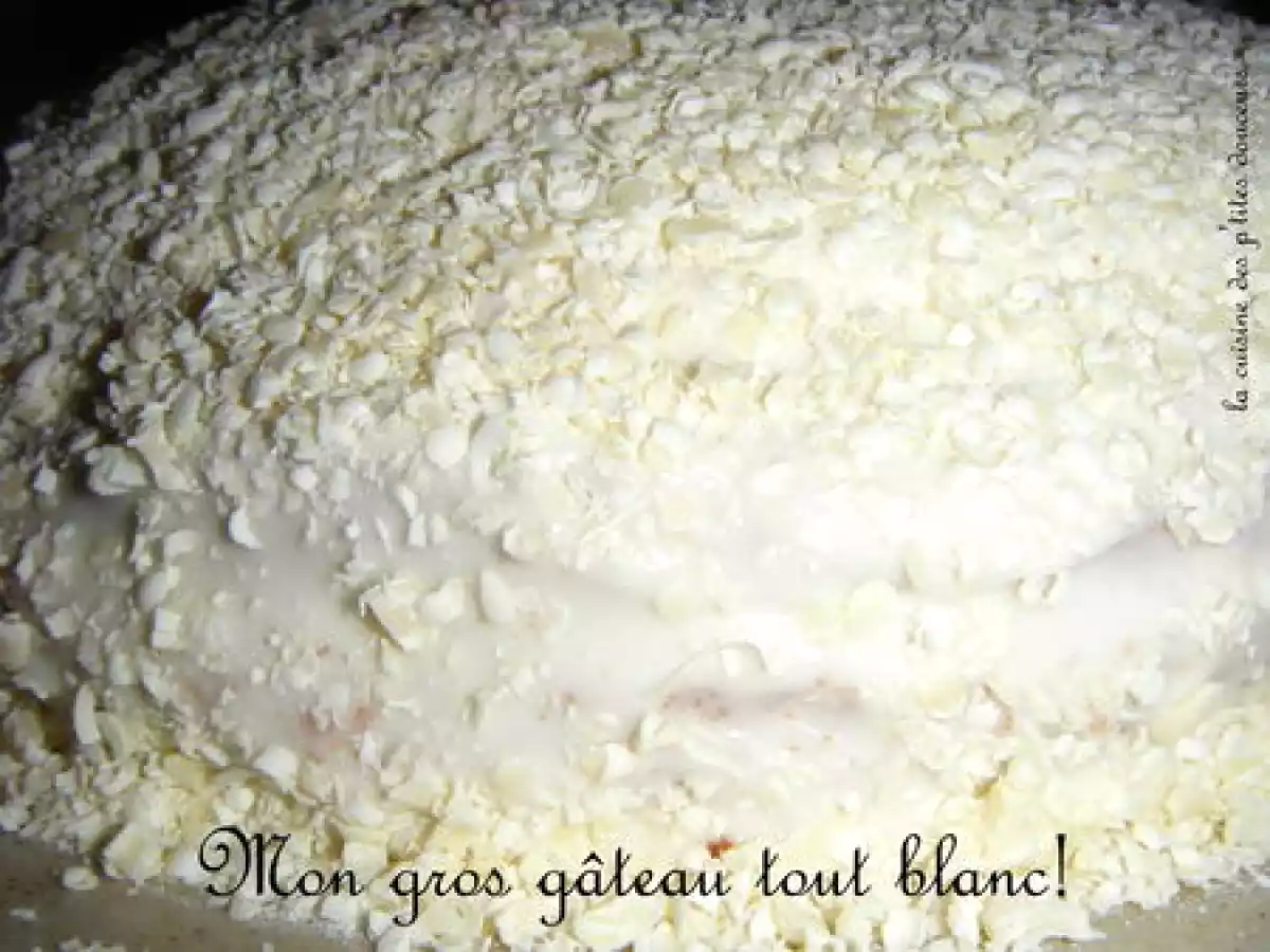 Mon gros gâteau tout blanc - photo 2