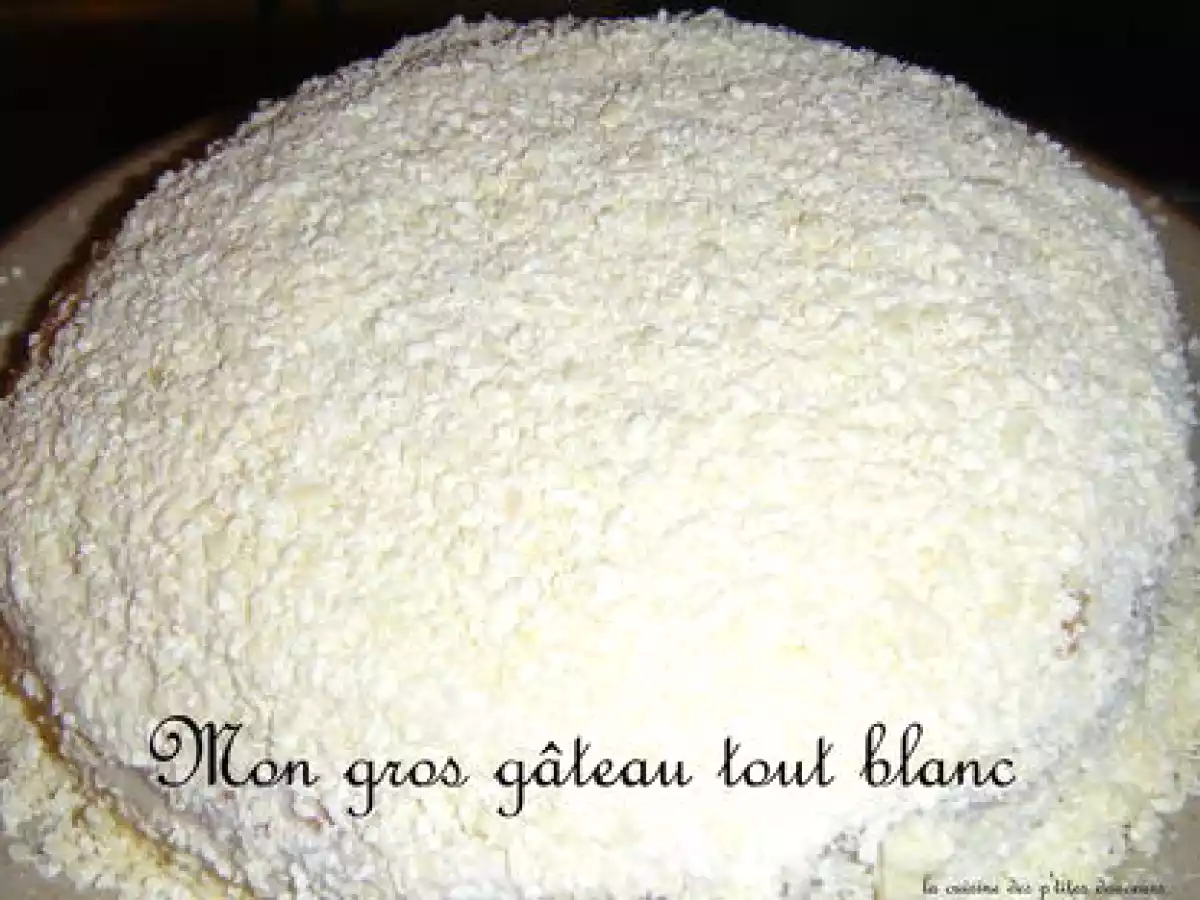 Mon gros gâteau tout blanc - photo 3