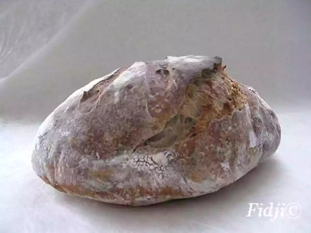 Mon levain naturel au sucre et son premier pain - photo 2