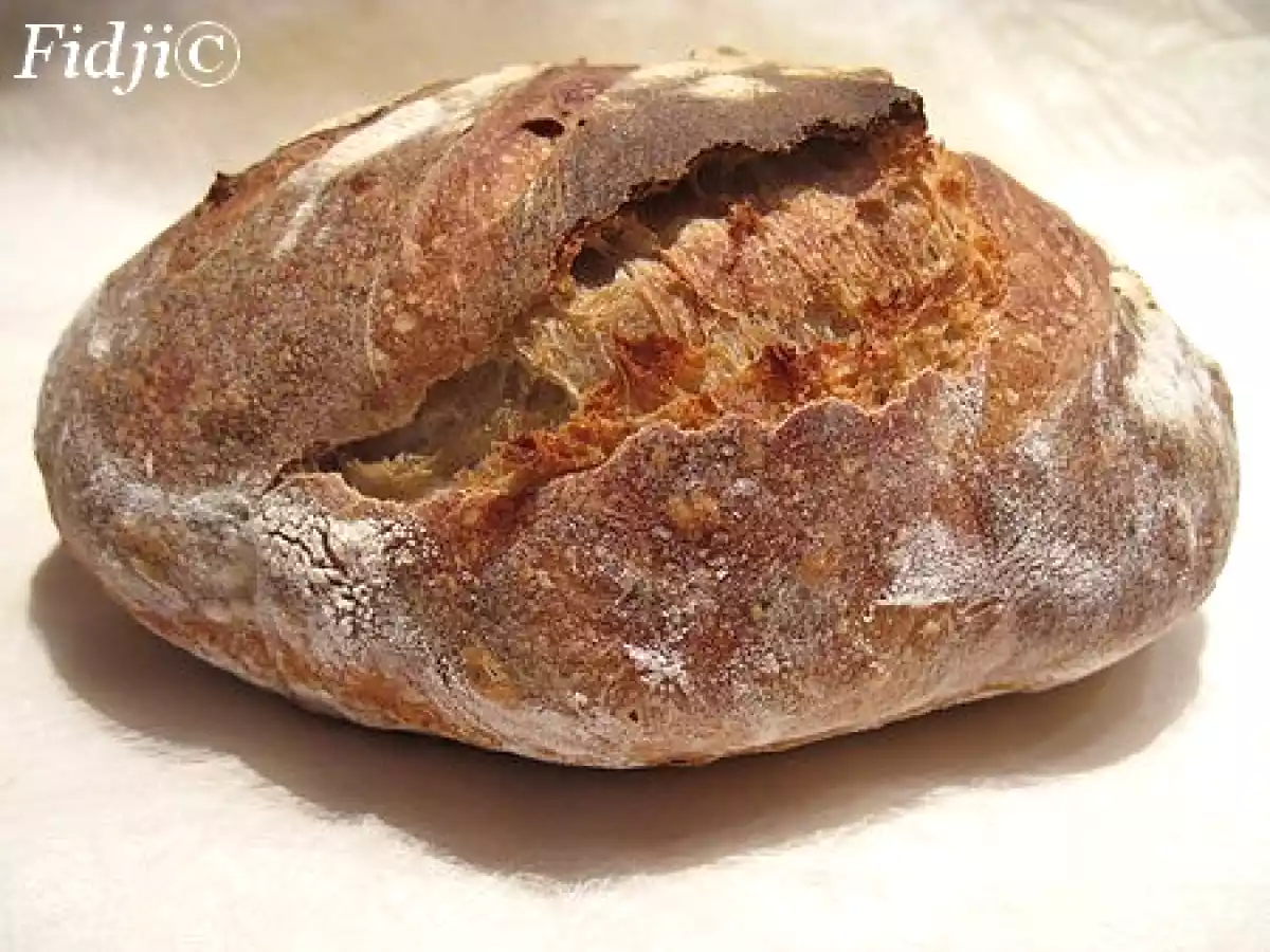 Mon levain naturel au sucre et son premier pain - photo 3