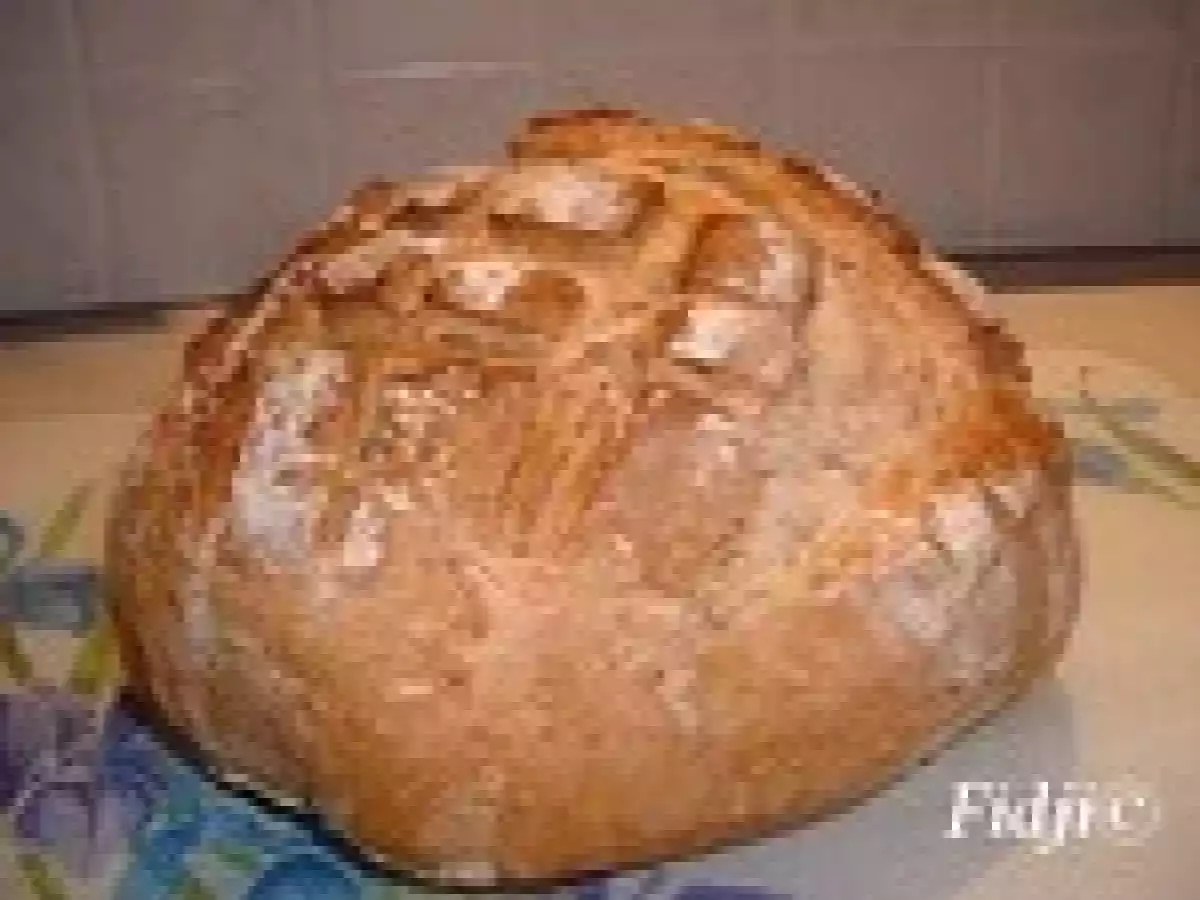 Mon levain naturel au sucre et son premier pain - photo 4