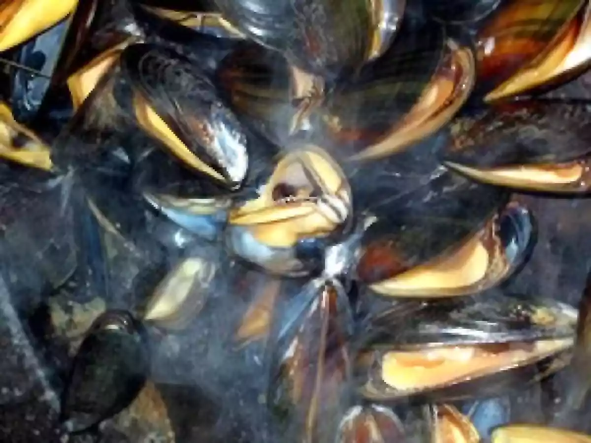 Moules à la brule-doigts - photo 2