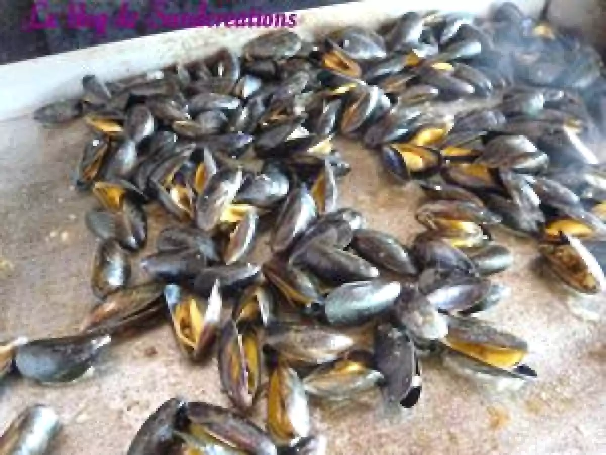 Moules à la plancha