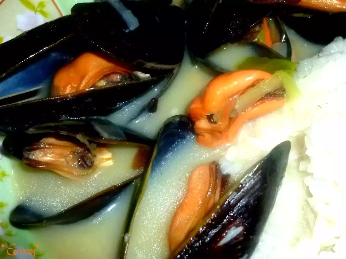 Moules au pastis et aux poireaux - photo 2