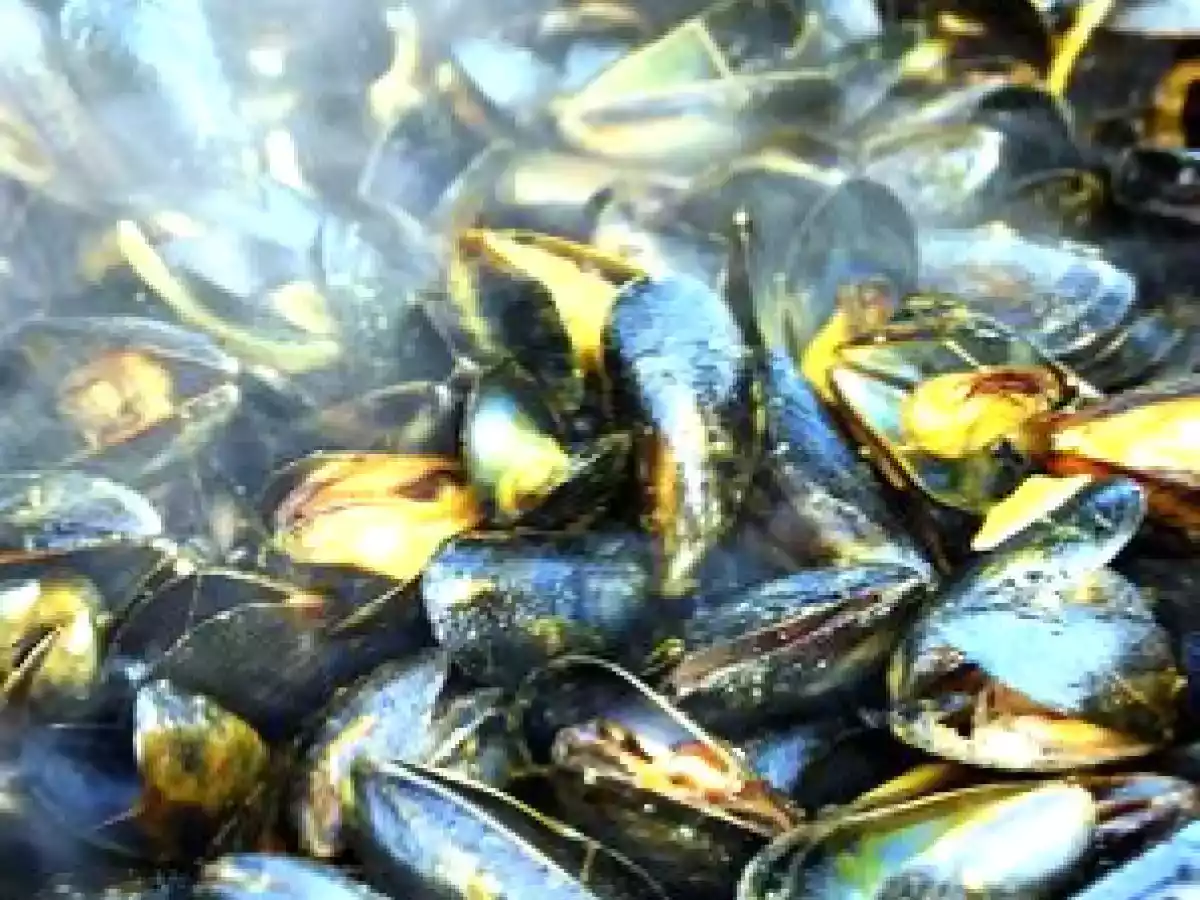 Moules aux épices (presque) au barbecue... - photo 2