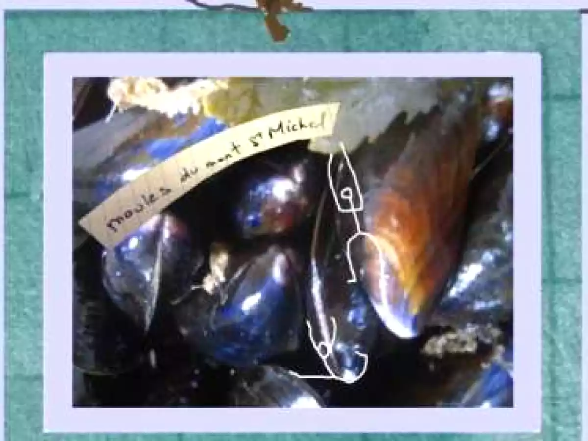 Moules de Bouchot du Mont Saint-Michel