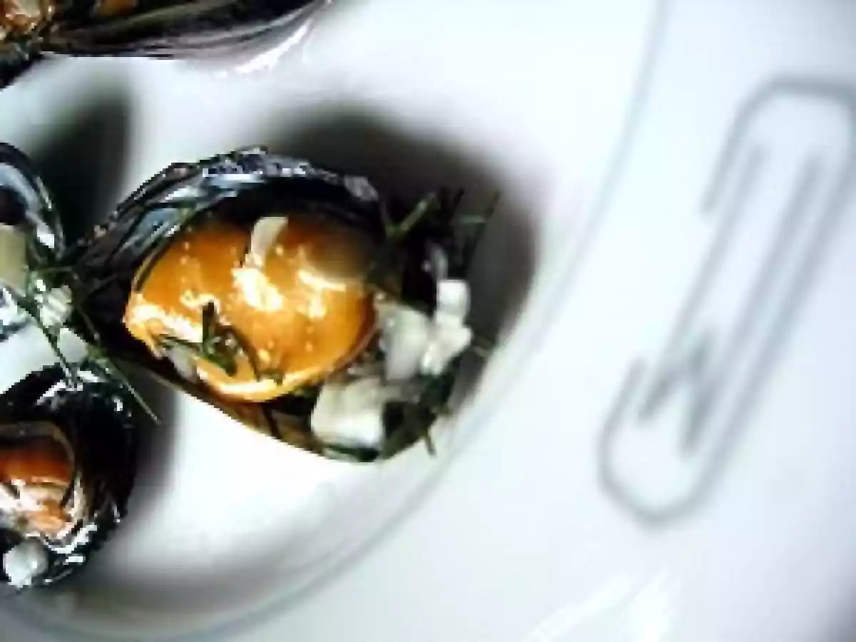 Moules marinées au fenouil - photo 2