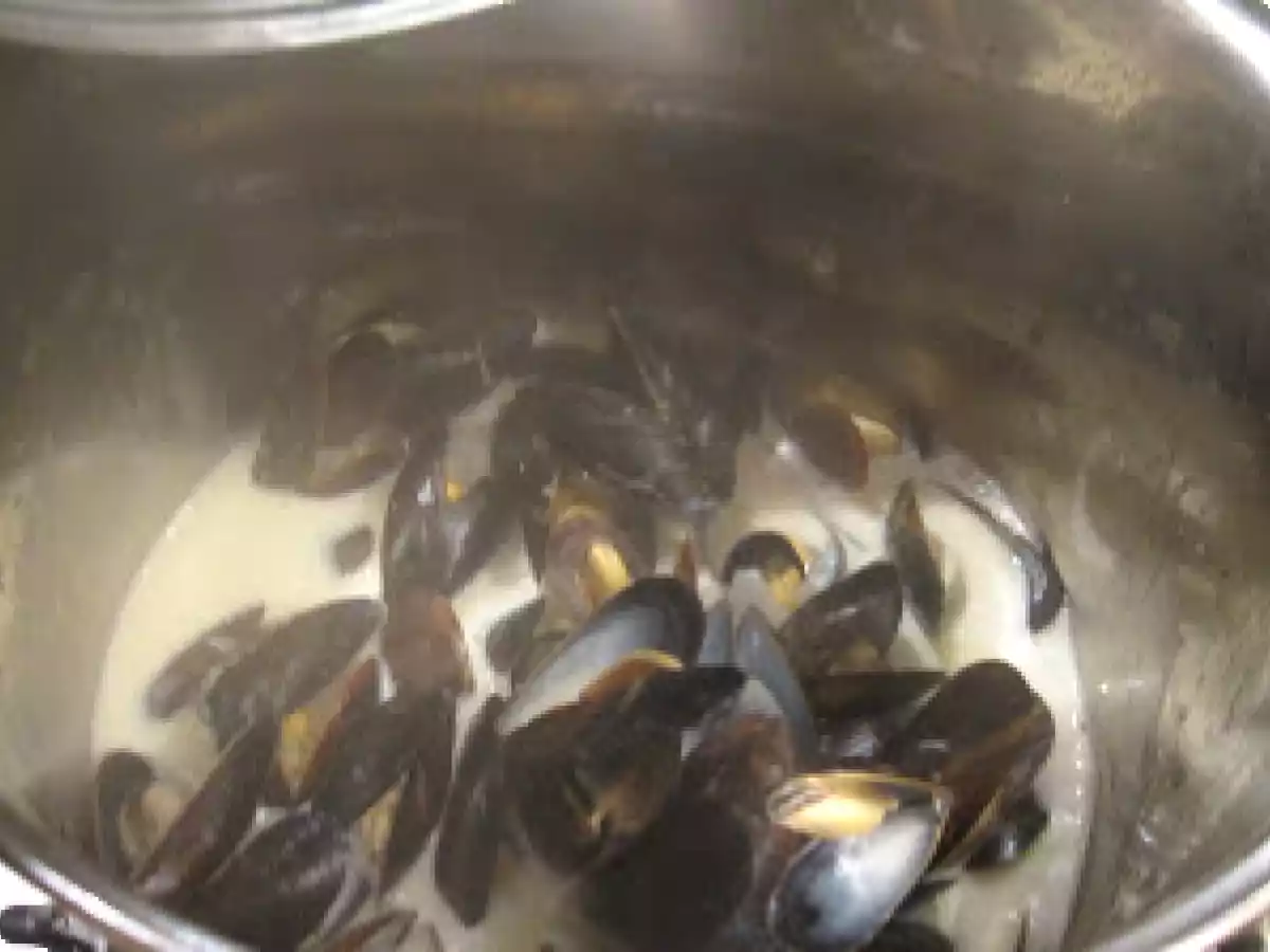 Moules marinières au roquefort