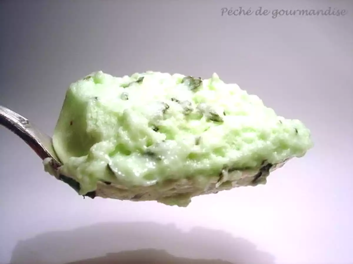 Mousse à la menthe et copeaux de chocolat noir - photo 3