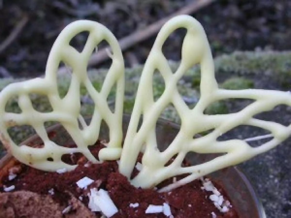 Mousse au chocolat au lait et aux éclat de caramel - photo 3